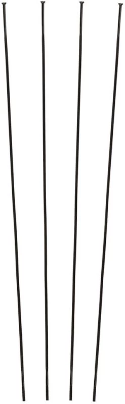 Campagnolo® Zonda C17 Ersatzspeichen Ab Modell 2016