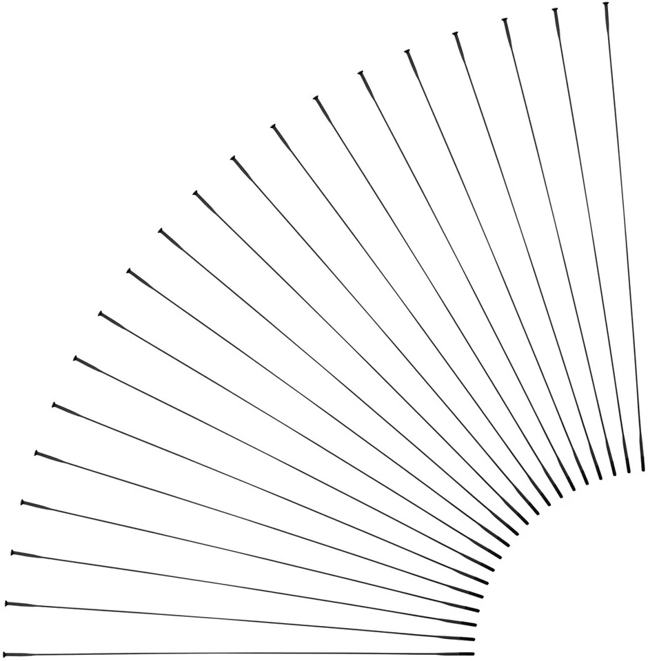 Sapim CX-Ray Straightpull Speichen + Nippel - 20 Stück 3 Sapim CX-Ray Straightpull Speichen + Nippel - 20 Stück