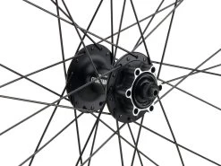 Mountain Alivio Disc 6-Loch DT Swiss 466d 29" Laufradsatz -Fahrradzubehör Verkauf 399633