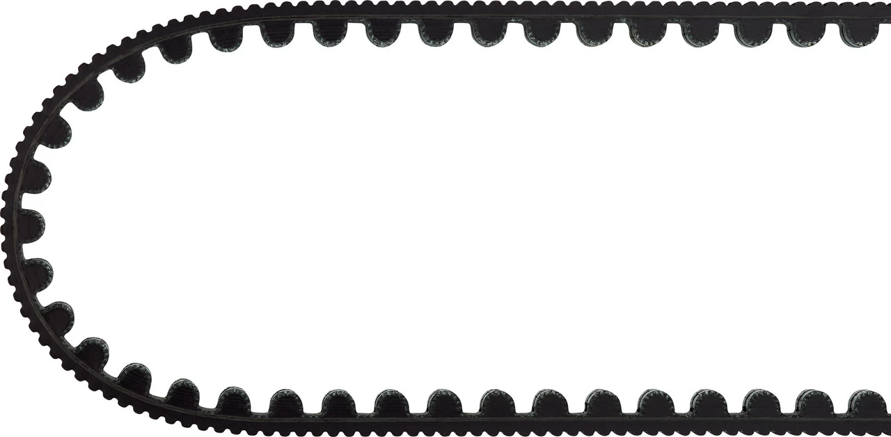 Gates CDX Riemen 8 Gates CDX Riemen – Bild 6